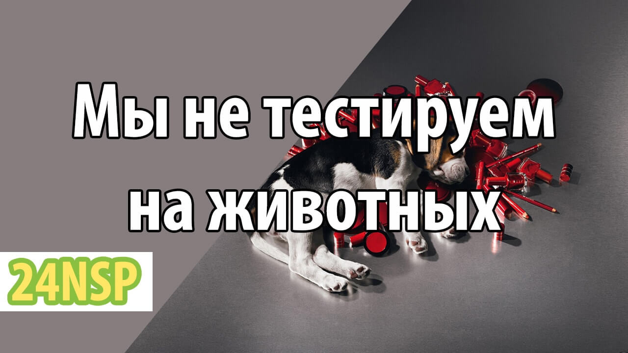 Мы сказали «Нет!» тестированию на животных