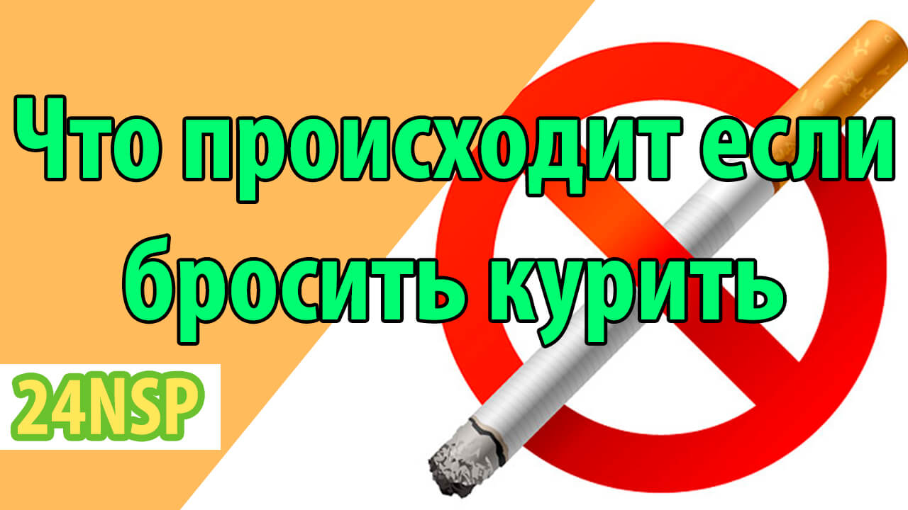 Узнайте 12 фактов о том, что происходит после того как бросить курить