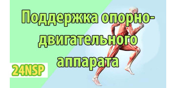 Поддержка и восстановление опорно-двигательного аппарата