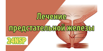 Лечение предстательной железы с использованием Со Пальметто