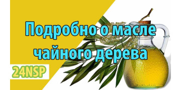 Масло чайного дерева, его полезные свойства и противопоказания
