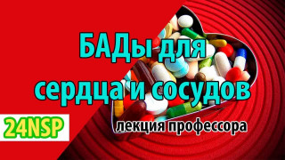 Здоровье сердечно-сосудистой системы: взгляд биохимика