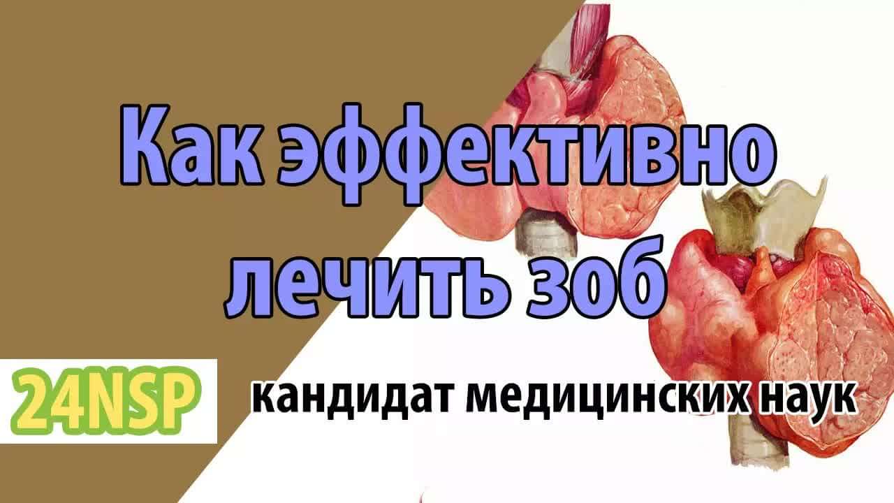 Щитовидная железа: как поддержать главный орган обмена веществ