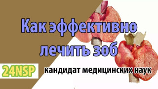 Щитовидная железа: как поддержать главный орган обмена веществ