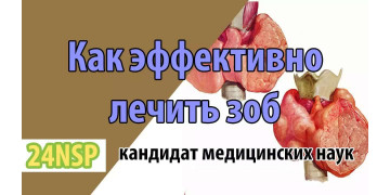 Щитовидная железа: как поддержать главный орган обмена веществ