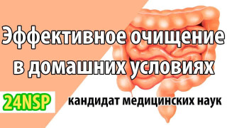 Реабилитация желудочно-кишечного тракта: от устранения причин к здоровью