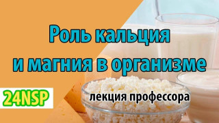 Минералы как база метаболизма: почему дефициты невозможно восполнить едой