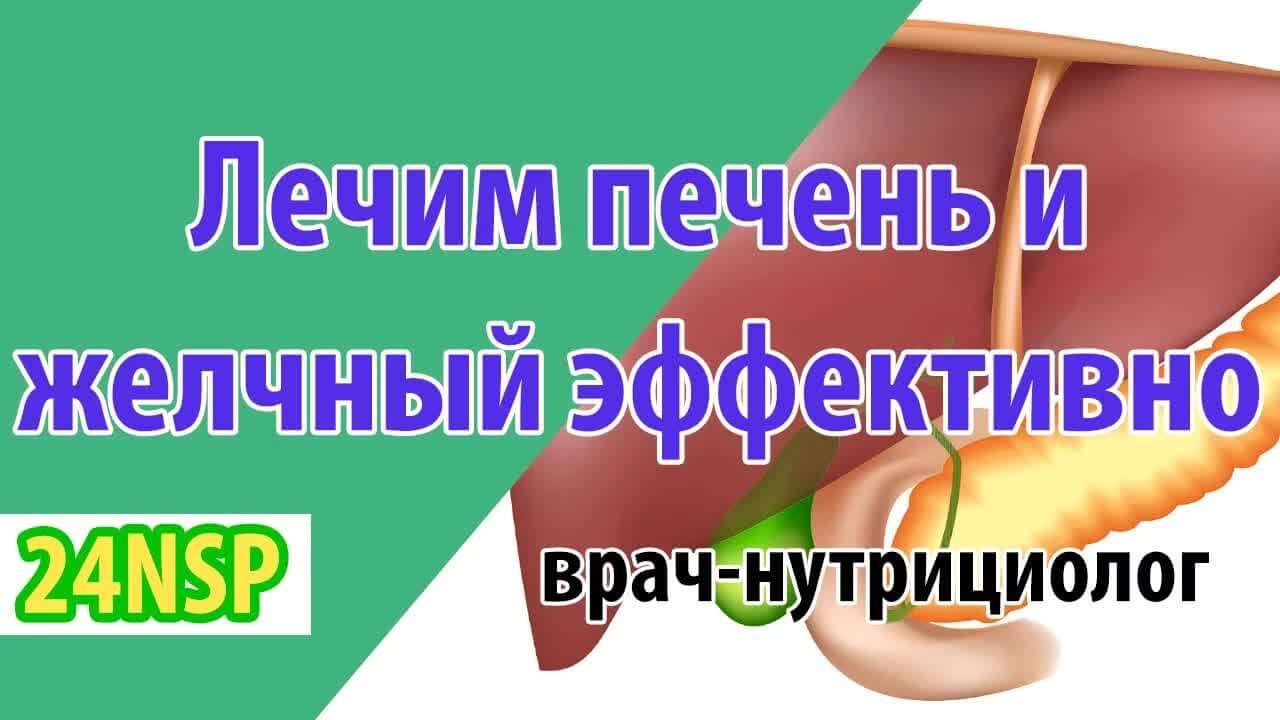 Здоровье печени и желчного пузыря: как сохранить главный фильтр организма