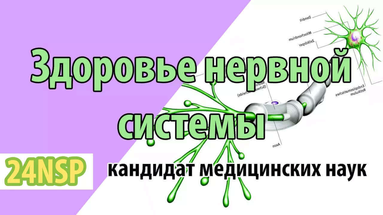 Фундаментальные основы здоровья нервной системы