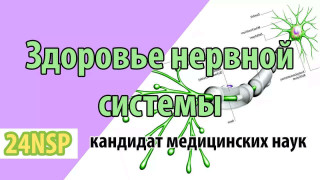 Фундаментальные основы здоровья нервной системы
