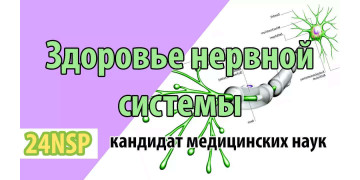 Фундаментальные основы здоровья нервной системы