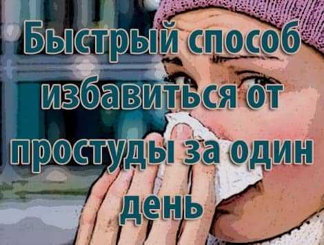 Быстрый способ избавиться от простуды за один день Быстрый способ избавиться от простуды за один день