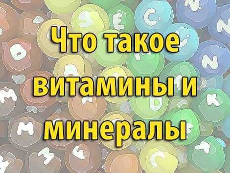 Что такое витамины и минералы Что такое витамины и минералы